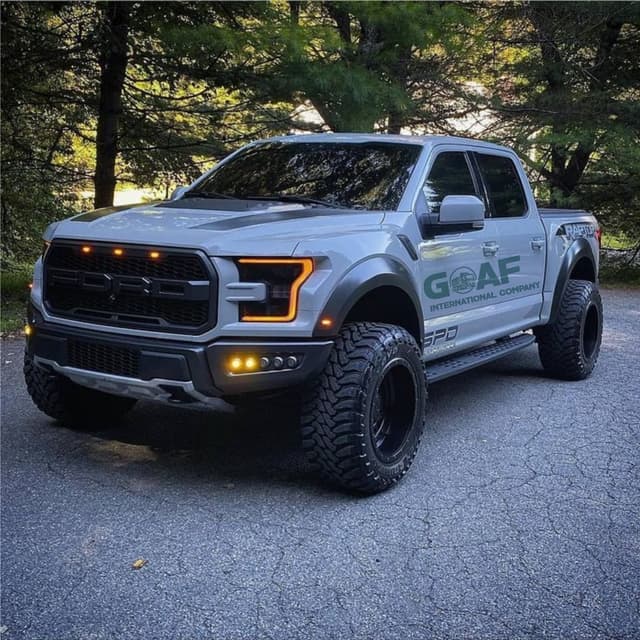 Ford F-150 2019 thumbnail 1